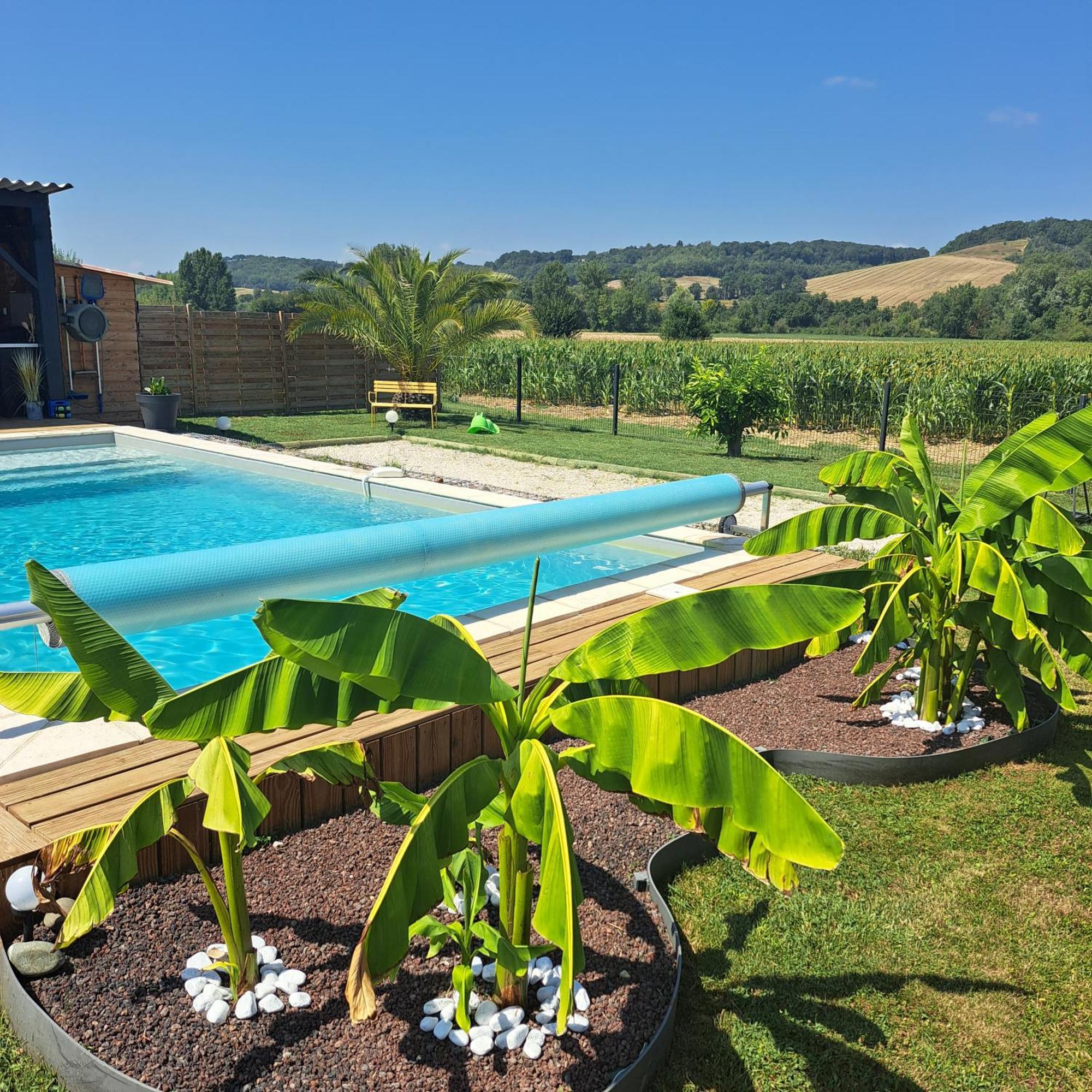 Le Domaine Vesque Villa Saint-Pierre-de-Clairac Kültér fotó