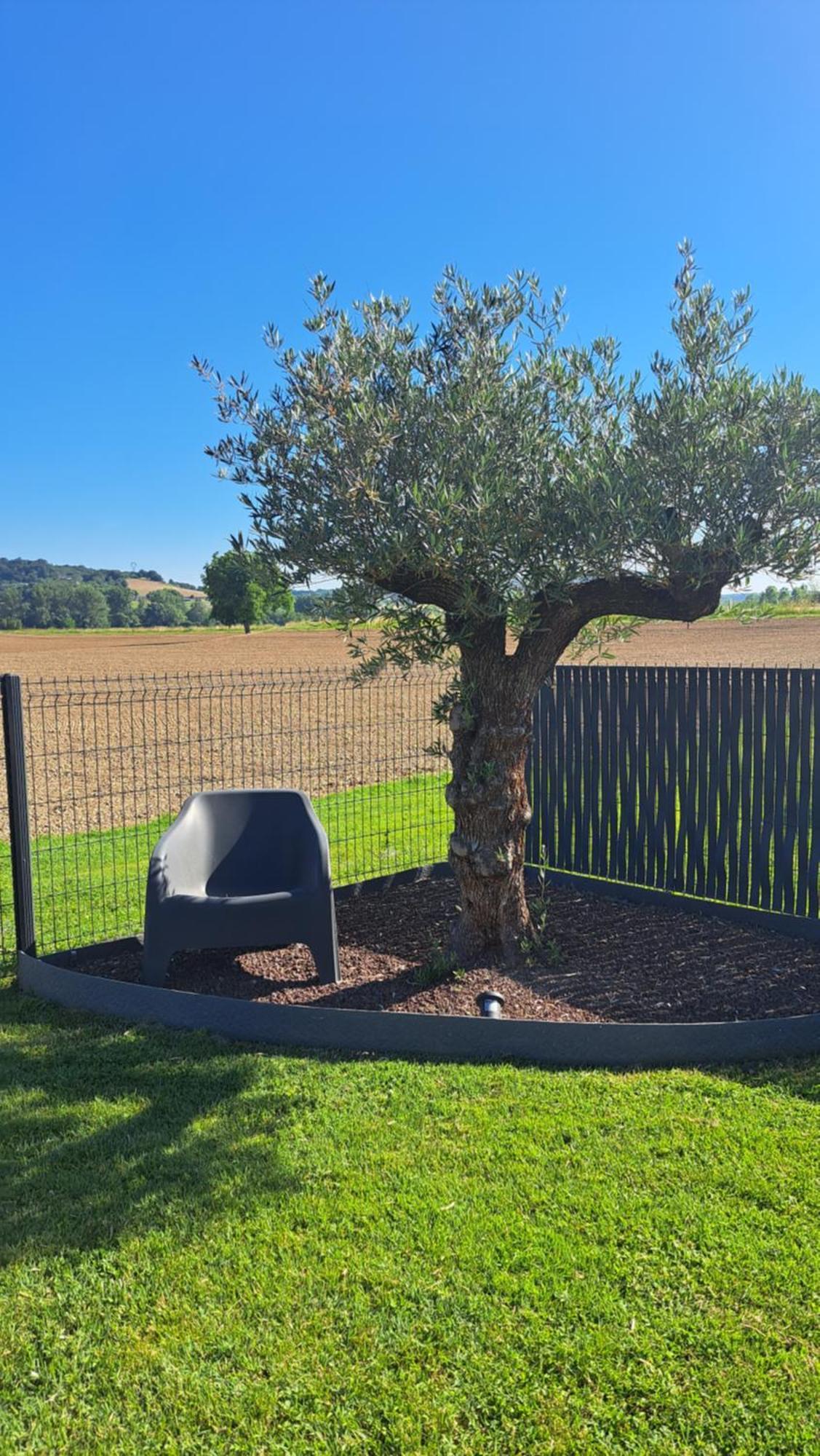 Le Domaine Vesque Villa Saint-Pierre-de-Clairac Kültér fotó